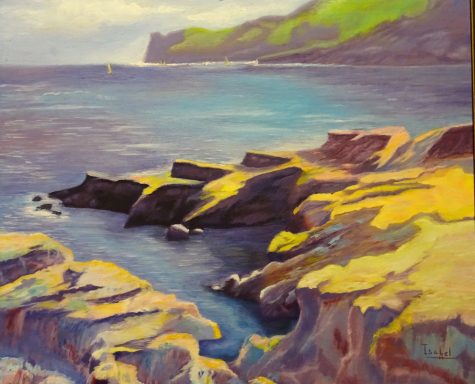 Paisaje costero con rocas y mar, iluminado por la luz del sol y montañas al fondo.